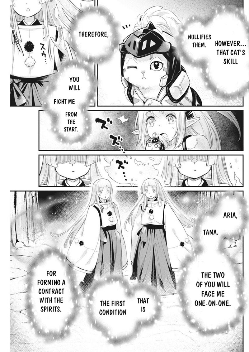 S Rank Monster No Behemoth Dakedo Neko To Machigawarete Erufu Musume No Kishi Pet Toshite Kurashitemasu 76 7