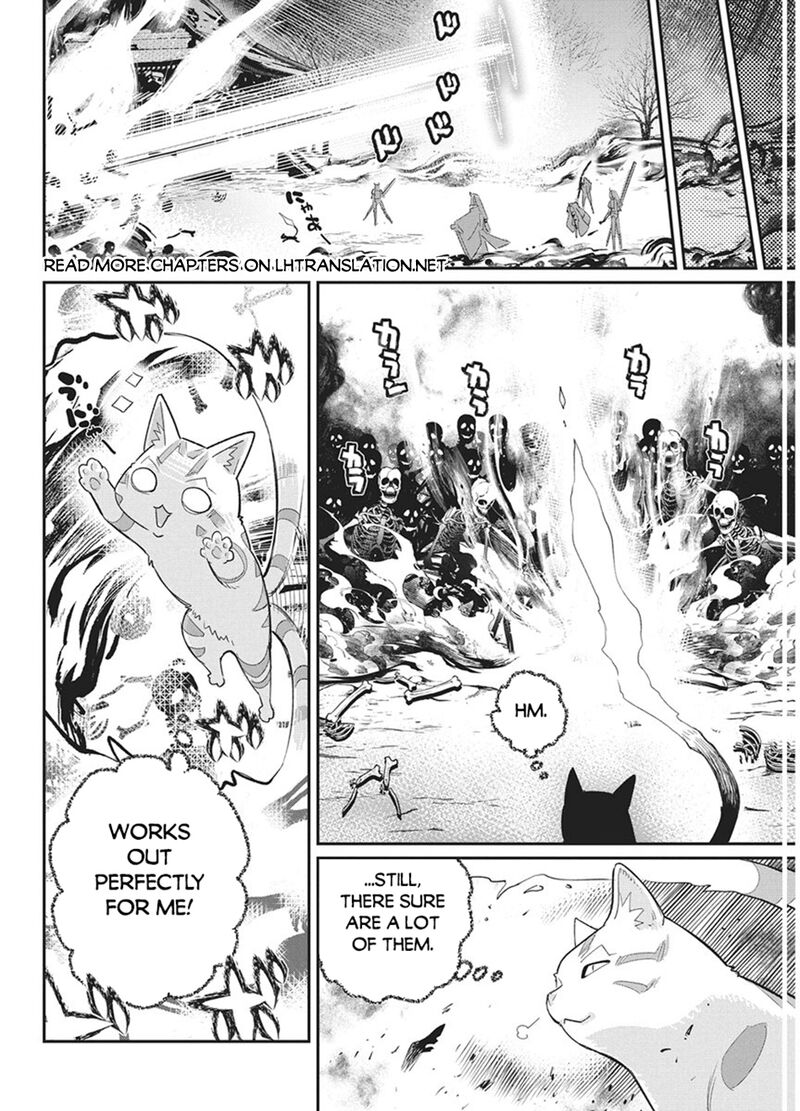 S Rank Monster No Behemoth Dakedo Neko To Machigawarete Erufu Musume No Kishi Pet Toshite Kurashitemasu 89 9