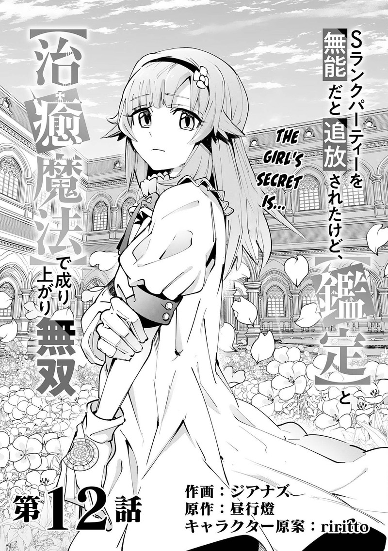 S Rank Party Wo Munou Da To Tsuihousareta Kedo Kantei To Chiyu Mahou De Nariagari Musou 12 6