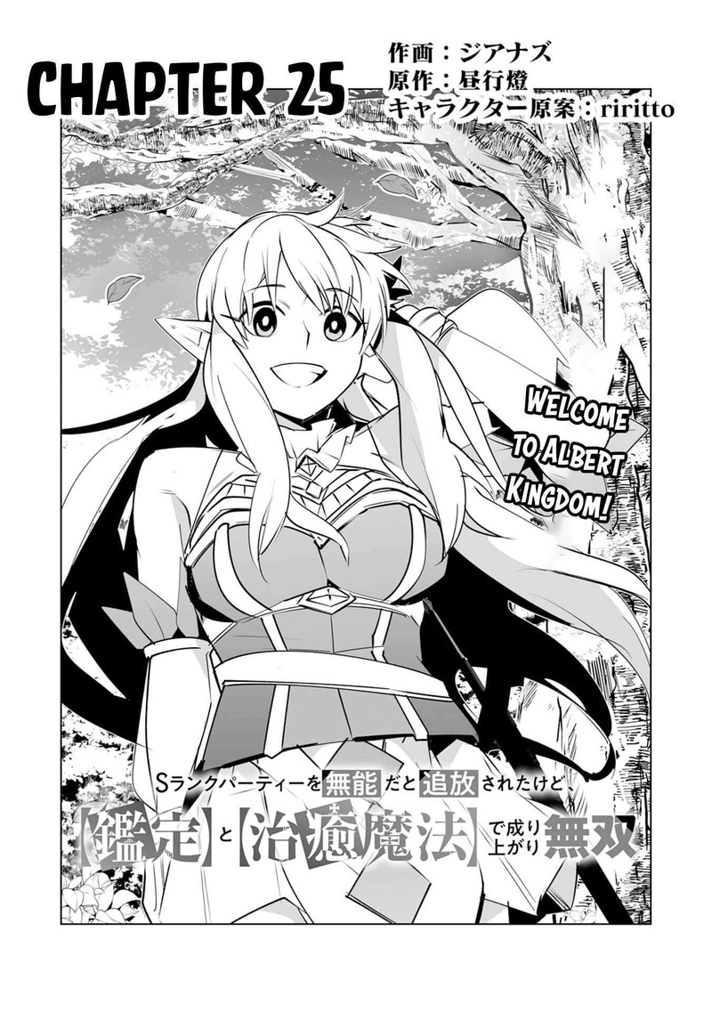 S Rank Party Wo Munou Da To Tsuihousareta Kedo Kantei To Chiyu Mahou De Nariagari Musou 25 2