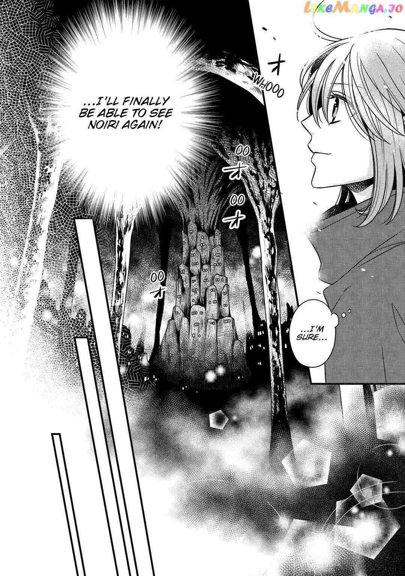 Sagishi 31 24