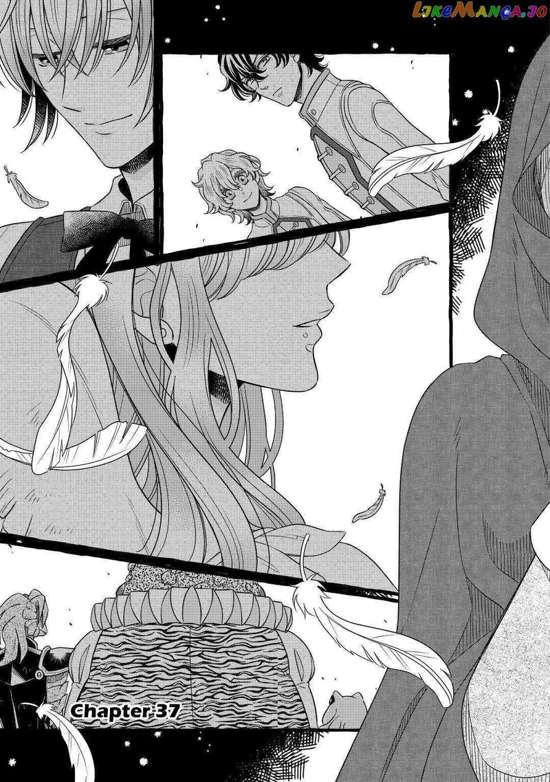 Sagishi 37 3
