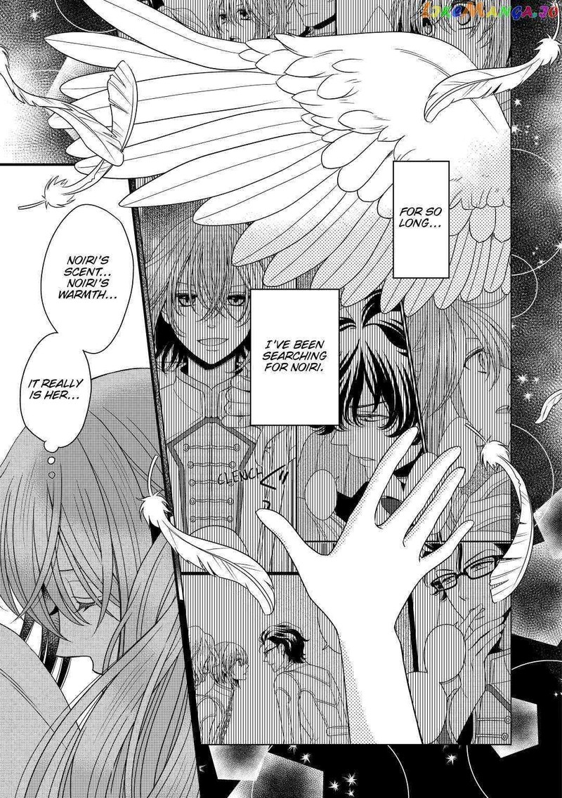 Sagishi 38 11