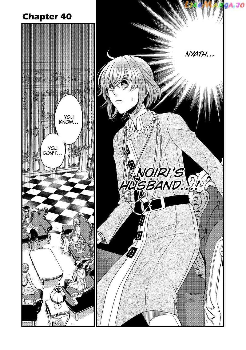 Sagishi 40 1