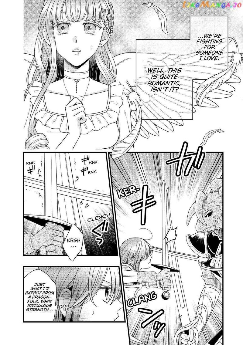 Sagishi 41 2
