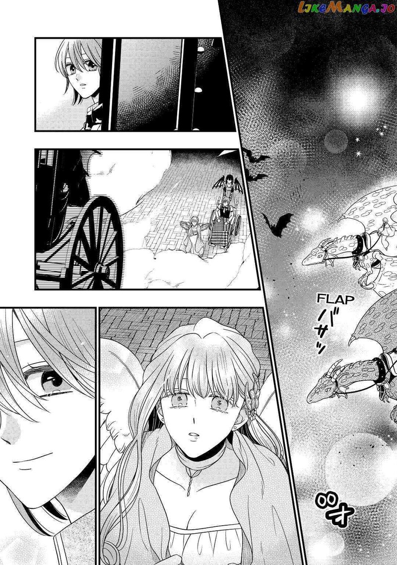Sagishi 42 21