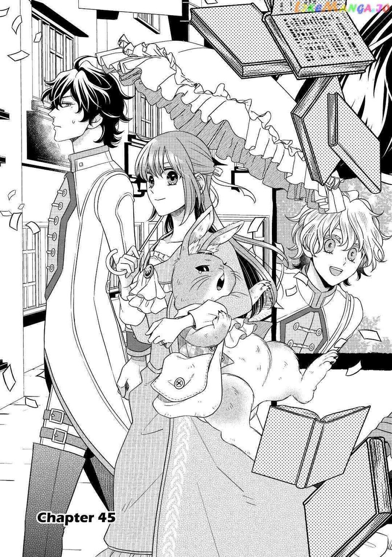 Sagishi 45 3