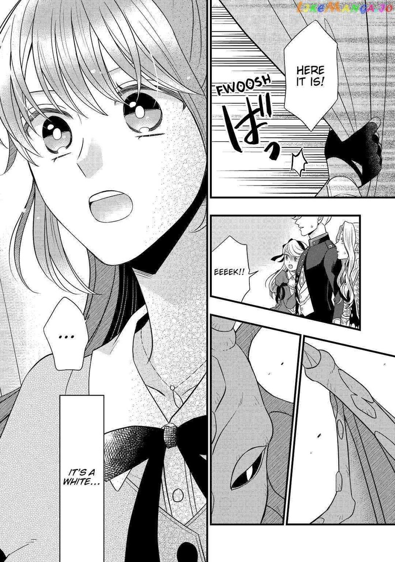 Sagishi 58 26