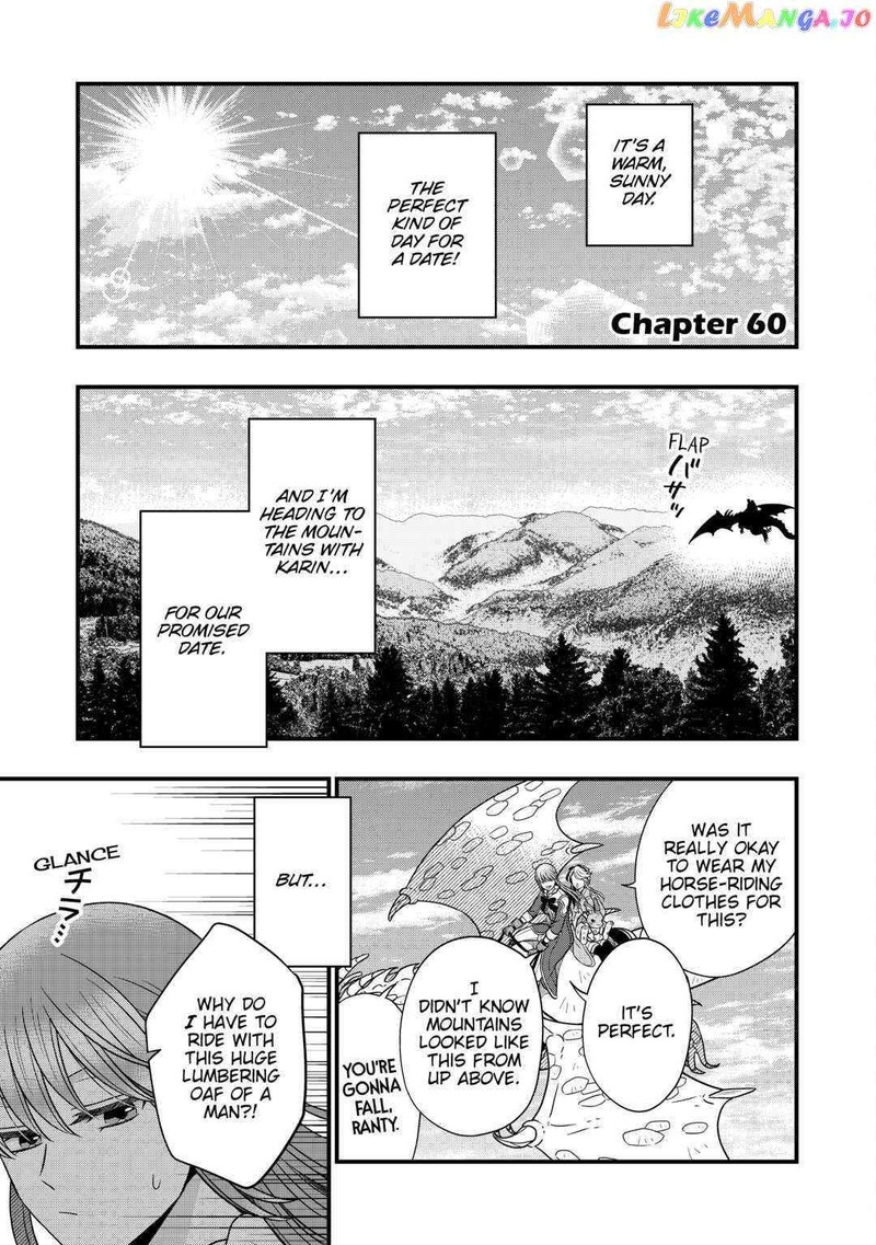 Sagishi 60 1
