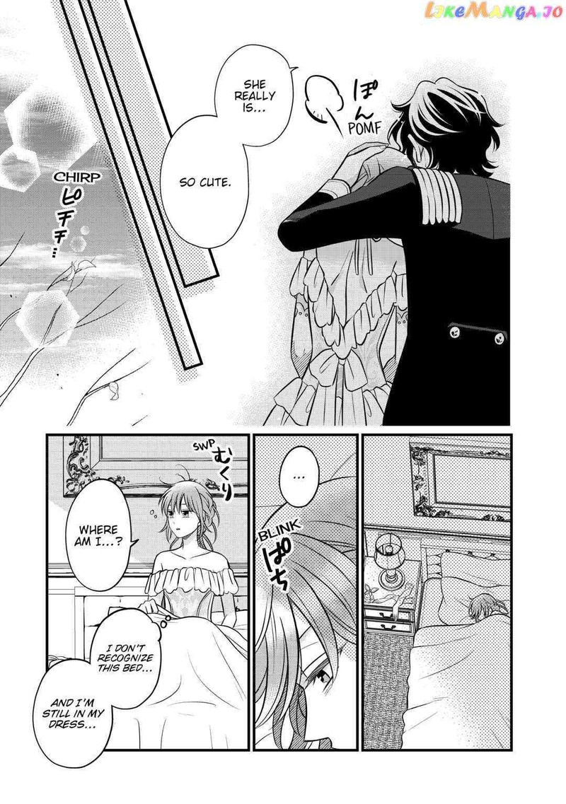 Sagishi 61 31