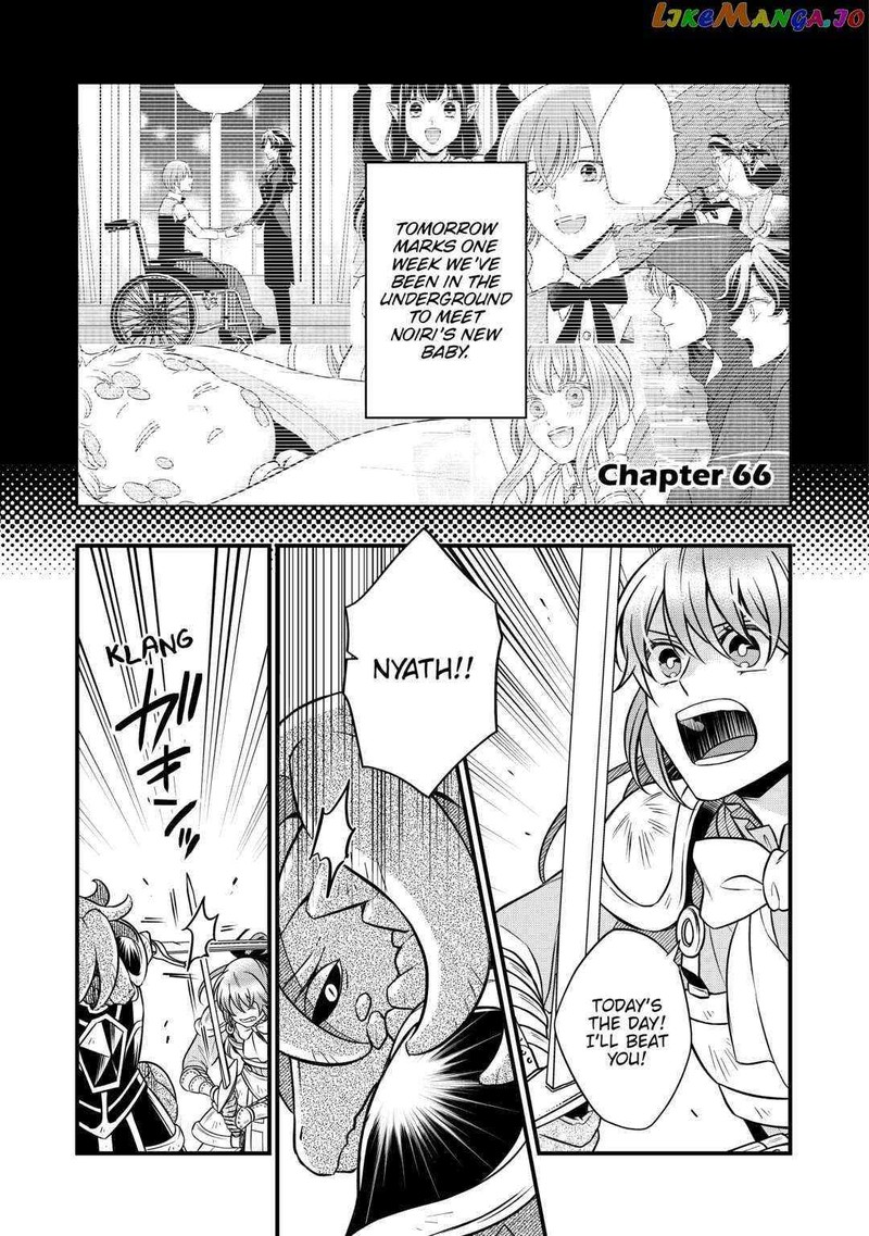 Sagishi 66 1