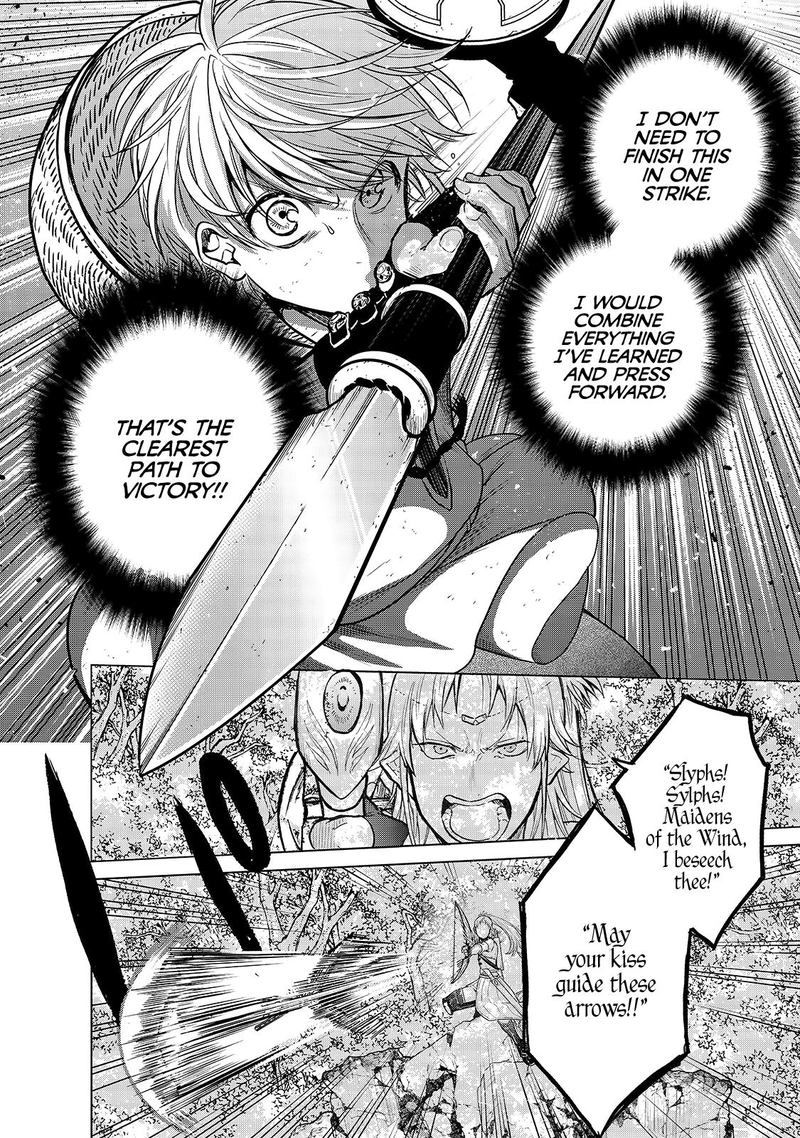 Saihate No Paladin 27 8
