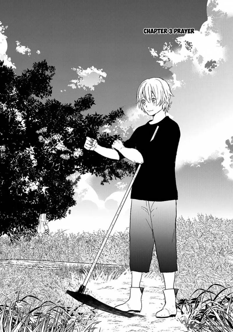 Saihate No Paladin 3 3