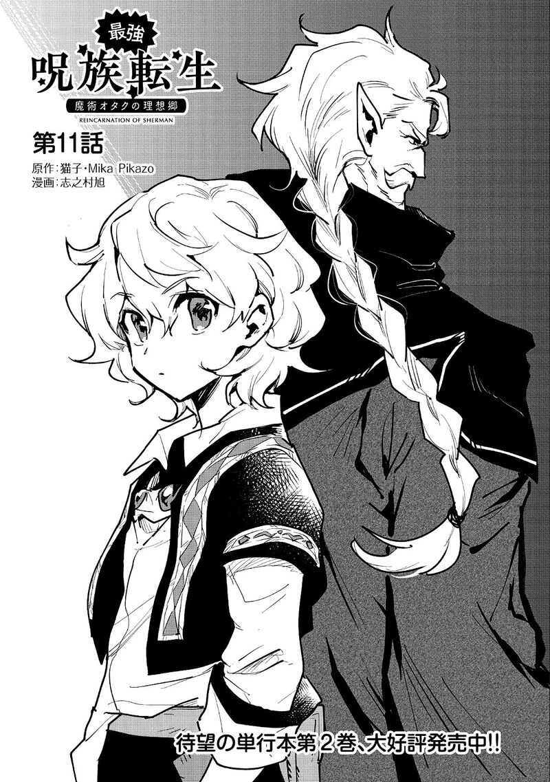 Saikyou Juzoku Tensei Majutsu Otaku No Utopia 11 2