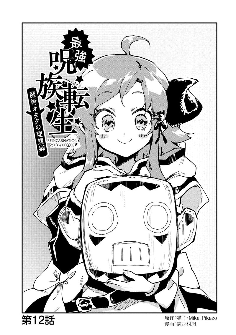 Saikyou Juzoku Tensei Majutsu Otaku No Utopia 12 2