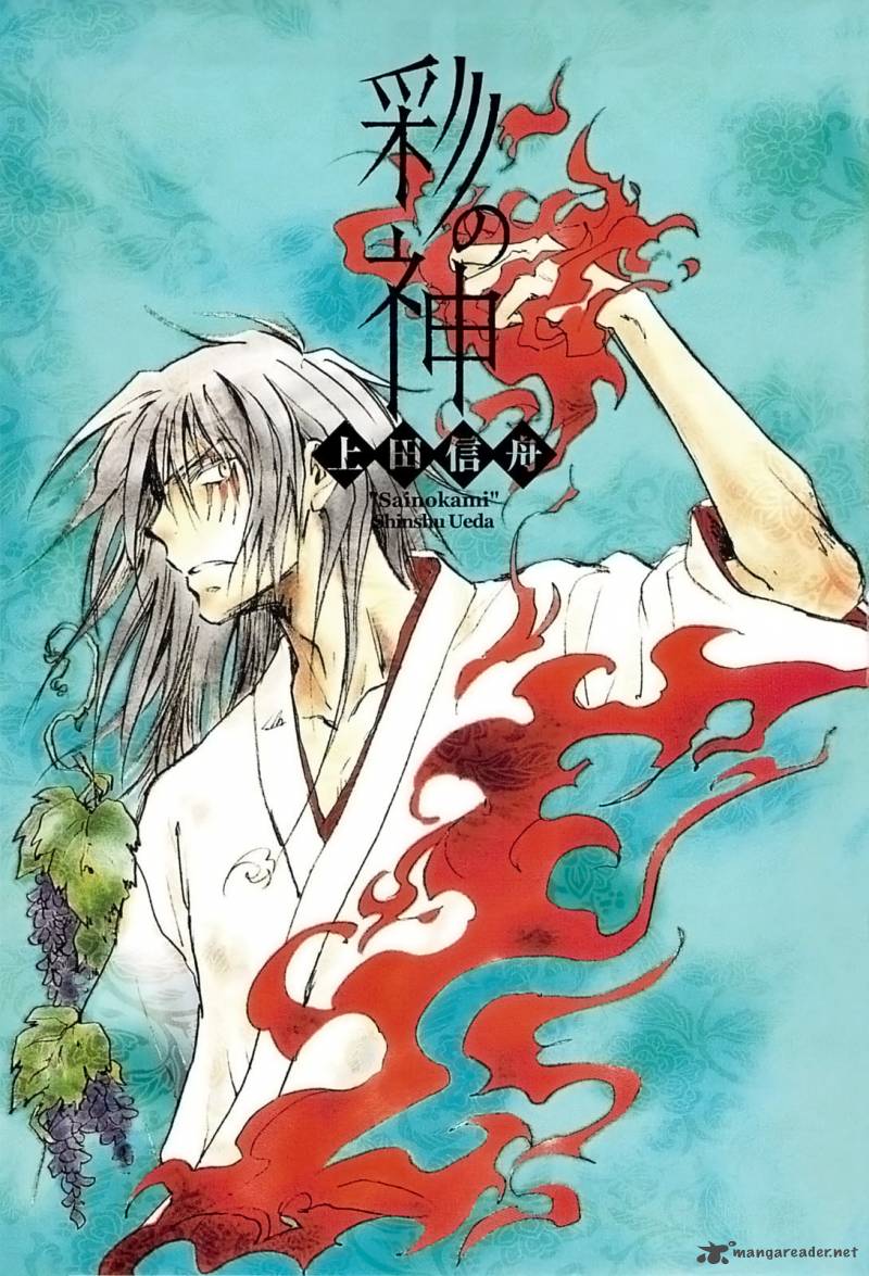 Sainokami 1 3