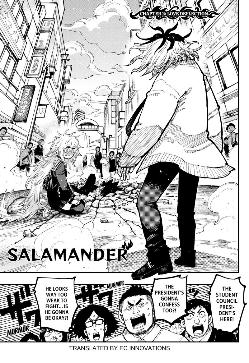 Salamander Nakayama Atsushi 2 1