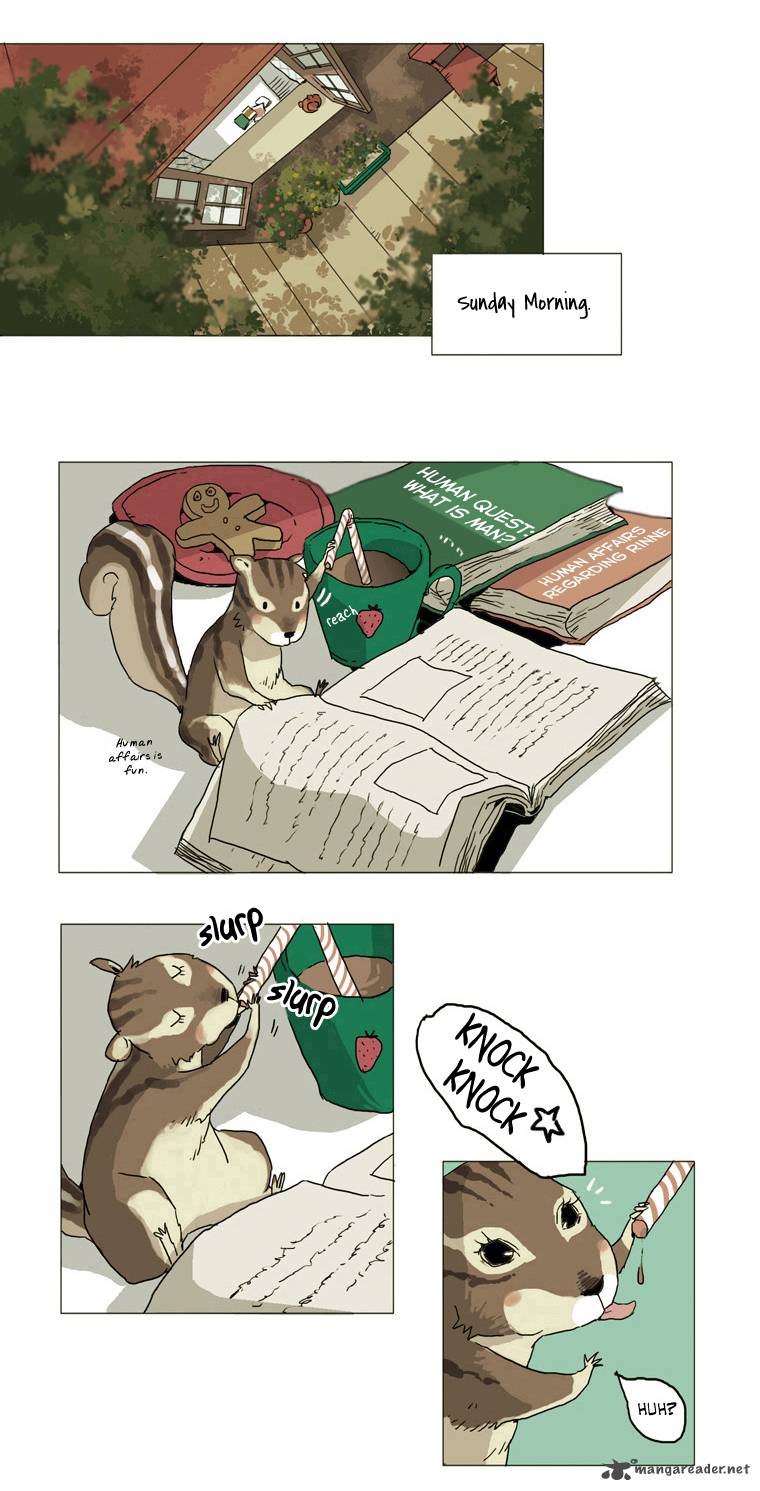 School In The Wild 4 8