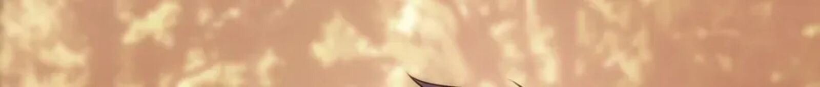 Second Life Ranker 219 146