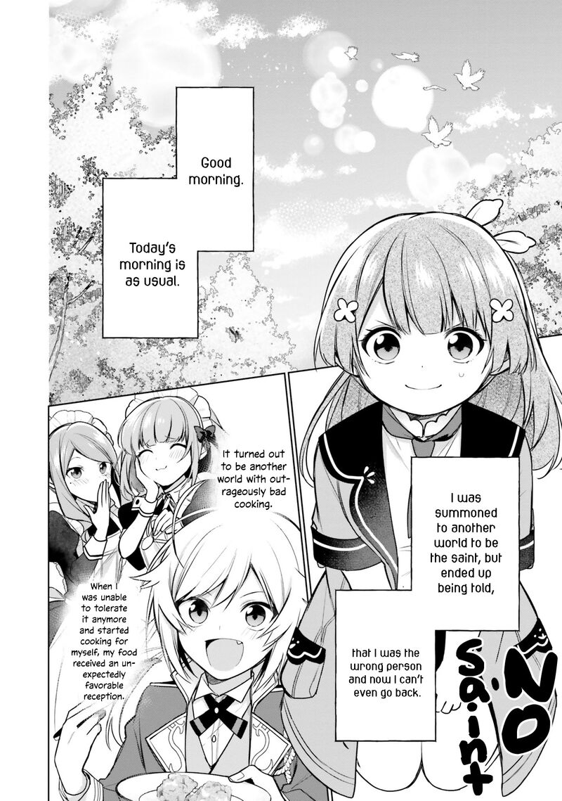 Seijo Ja Nakatta No De Oukyuu De Nonbiri Gohan Wo Tsukuru Koto Ni Shimashita 9 2