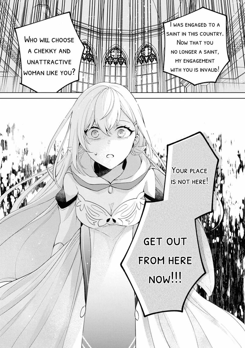Seishin Seijo Konyaku Hakisareta Tsuihou Seijo Desu Ga Ookami Ouji No Noroi Wo Toite Dekiaisaretemasu Imasara Kuni Ni Modorette Iwarete Mo Osoi Desu 1 11
