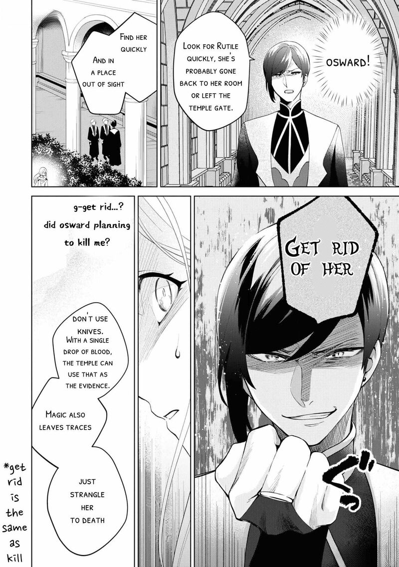 Seishin Seijo Konyaku Hakisareta Tsuihou Seijo Desu Ga Ookami Ouji No Noroi Wo Toite Dekiaisaretemasu Imasara Kuni Ni Modorette Iwarete Mo Osoi Desu 1 17