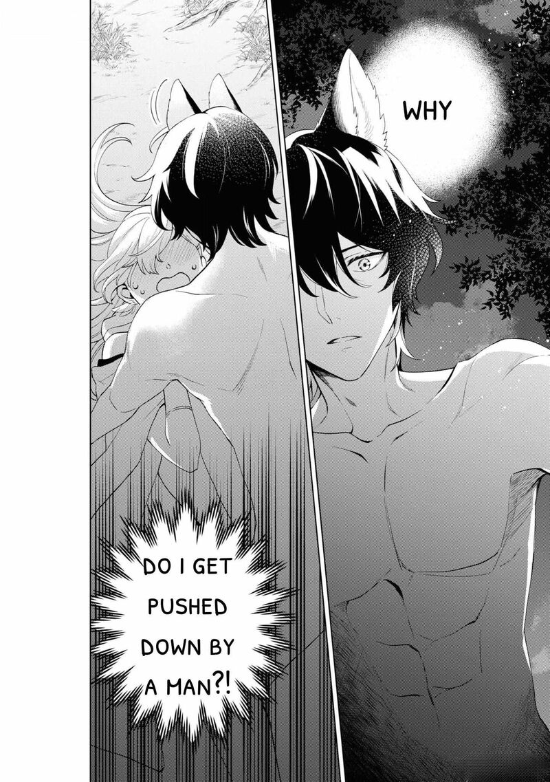 Seishin Seijo Konyaku Hakisareta Tsuihou Seijo Desu Ga Ookami Ouji No Noroi Wo Toite Dekiaisaretemasu Imasara Kuni Ni Modorette Iwarete Mo Osoi Desu 1 3