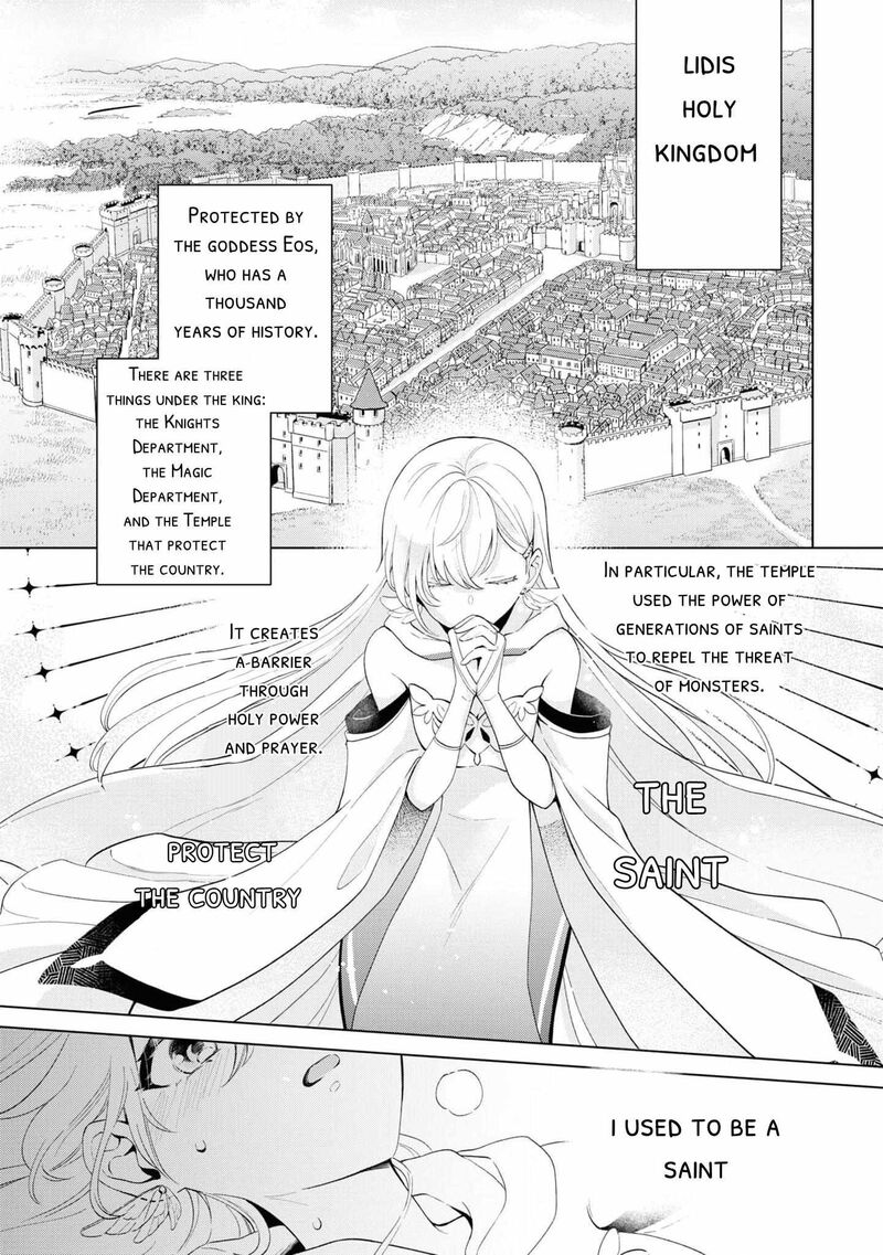Seishin Seijo Konyaku Hakisareta Tsuihou Seijo Desu Ga Ookami Ouji No Noroi Wo Toite Dekiaisaretemasu Imasara Kuni Ni Modorette Iwarete Mo Osoi Desu 1 4