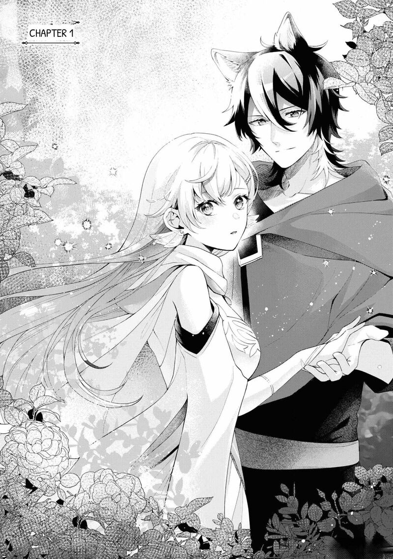 Seishin Seijo Konyaku Hakisareta Tsuihou Seijo Desu Ga Ookami Ouji No Noroi Wo Toite Dekiaisaretemasu Imasara Kuni Ni Modorette Iwarete Mo Osoi Desu 1 5