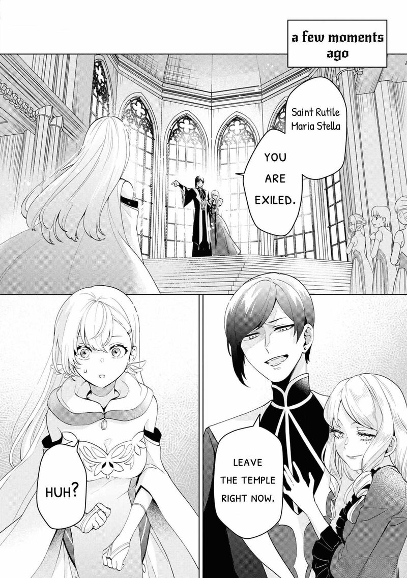 Seishin Seijo Konyaku Hakisareta Tsuihou Seijo Desu Ga Ookami Ouji No Noroi Wo Toite Dekiaisaretemasu Imasara Kuni Ni Modorette Iwarete Mo Osoi Desu 1 6
