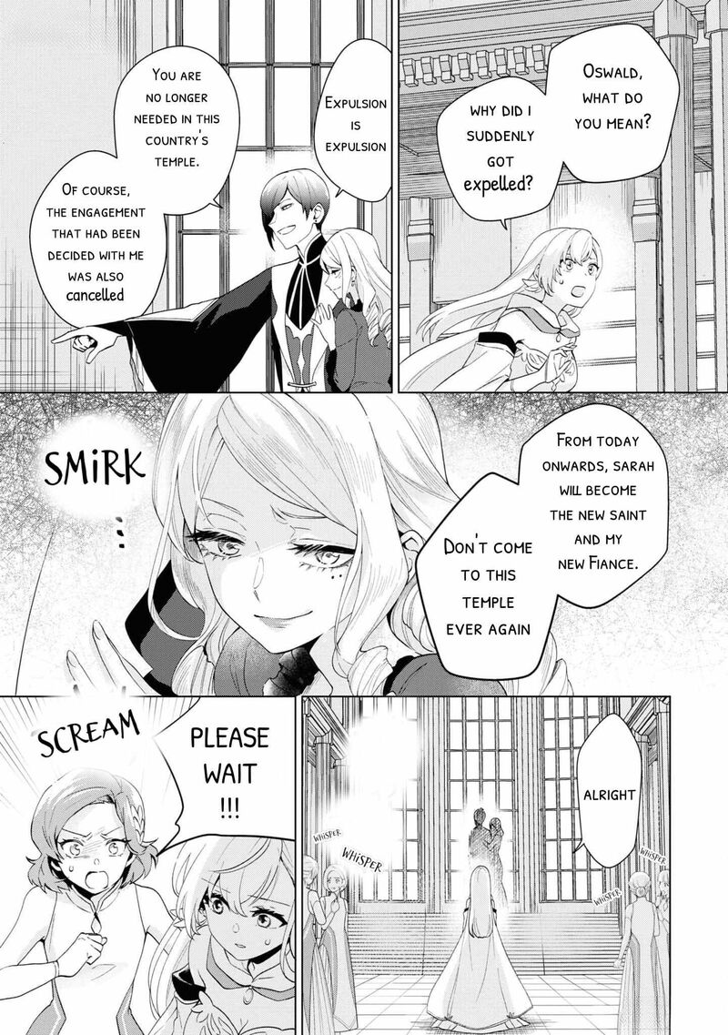 Seishin Seijo Konyaku Hakisareta Tsuihou Seijo Desu Ga Ookami Ouji No Noroi Wo Toite Dekiaisaretemasu Imasara Kuni Ni Modorette Iwarete Mo Osoi Desu 1 7