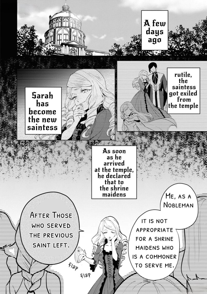 Seishin Seijo Konyaku Hakisareta Tsuihou Seijo Desu Ga Ookami Ouji No Noroi Wo Toite Dekiaisaretemasu Imasara Kuni Ni Modorette Iwarete Mo Osoi Desu 3 4