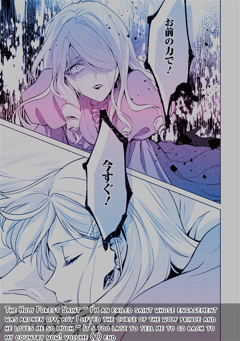 Seishin Seijo Konyaku Hakisareta Tsuihou Seijo Desu Ga Ookami Ouji No Noroi Wo Toite Dekiaisaretemasu Imasara Kuni Ni Modorette Iwarete Mo Osoi Desu 9 28