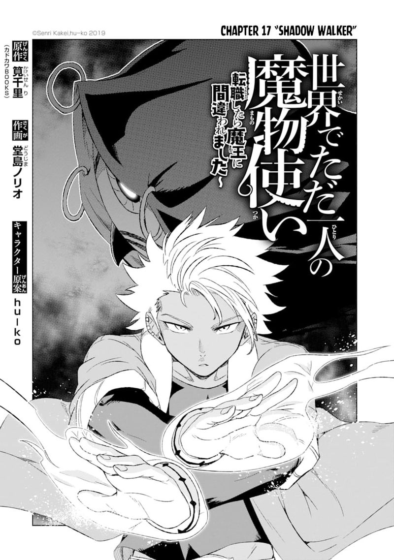 Sekai De Tada Hitori No Mamono Tsukai Tenshoku Shitara Maou Ni Machigawaremashita 17 2