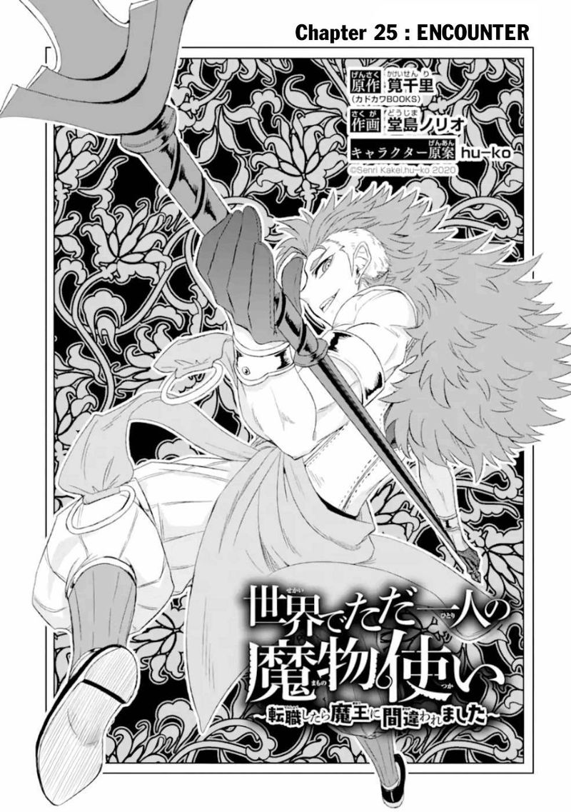 Sekai De Tada Hitori No Mamono Tsukai Tenshoku Shitara Maou Ni Machigawaremashita 25 3