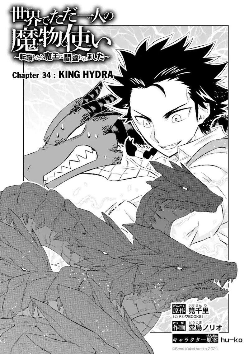 Sekai De Tada Hitori No Mamono Tsukai Tenshoku Shitara Maou Ni Machigawaremashita 34a 3