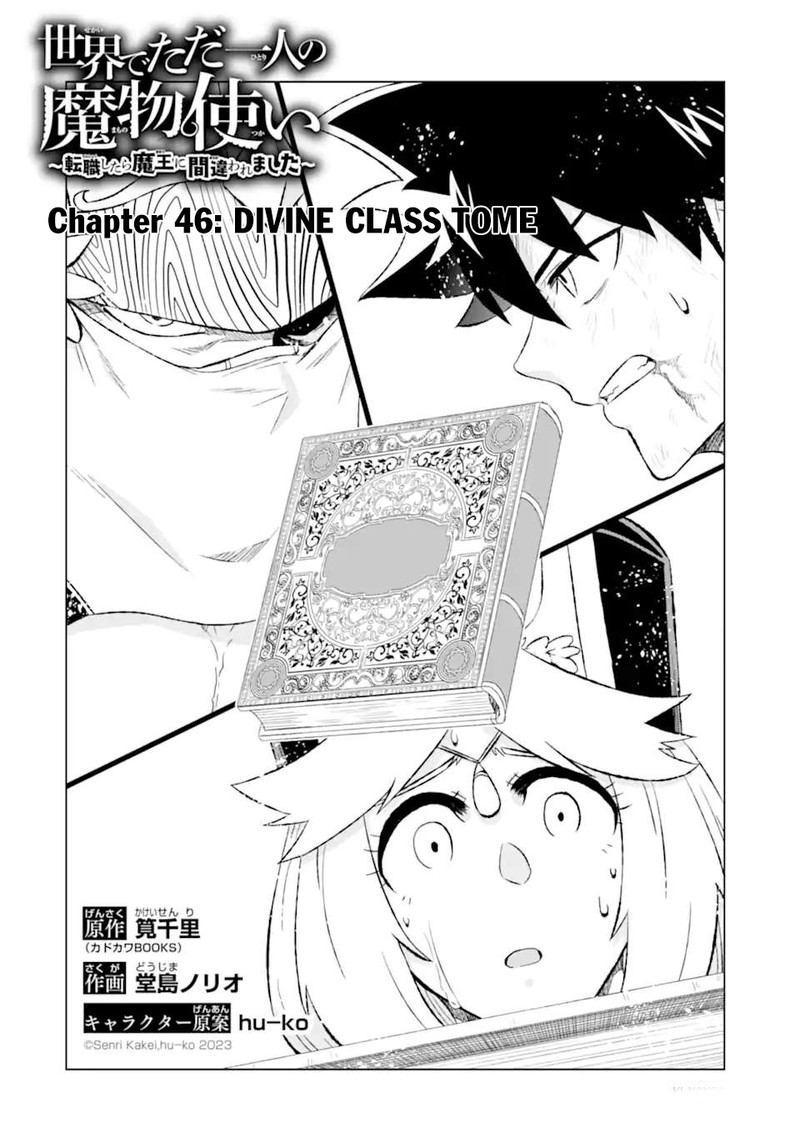 Sekai De Tada Hitori No Mamono Tsukai Tenshoku Shitara Maou Ni Machigawaremashita 46a 2