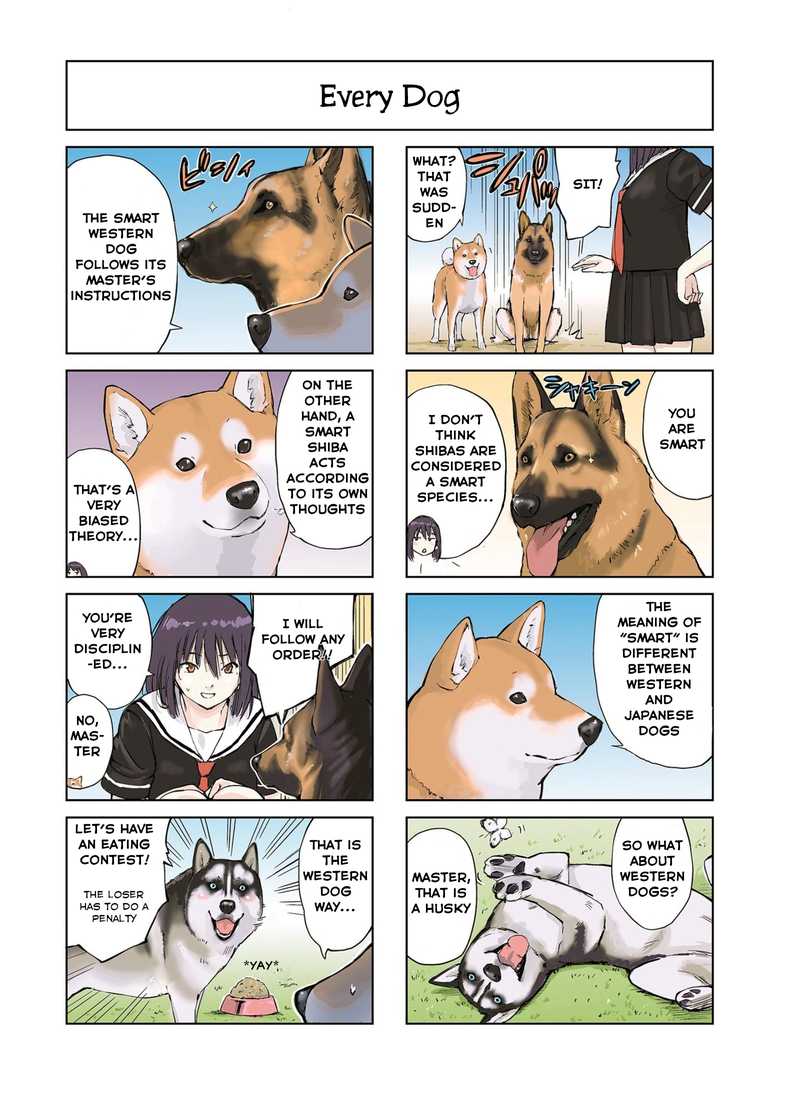 Sekai No Owari Ni Shiba Inu To 11 2