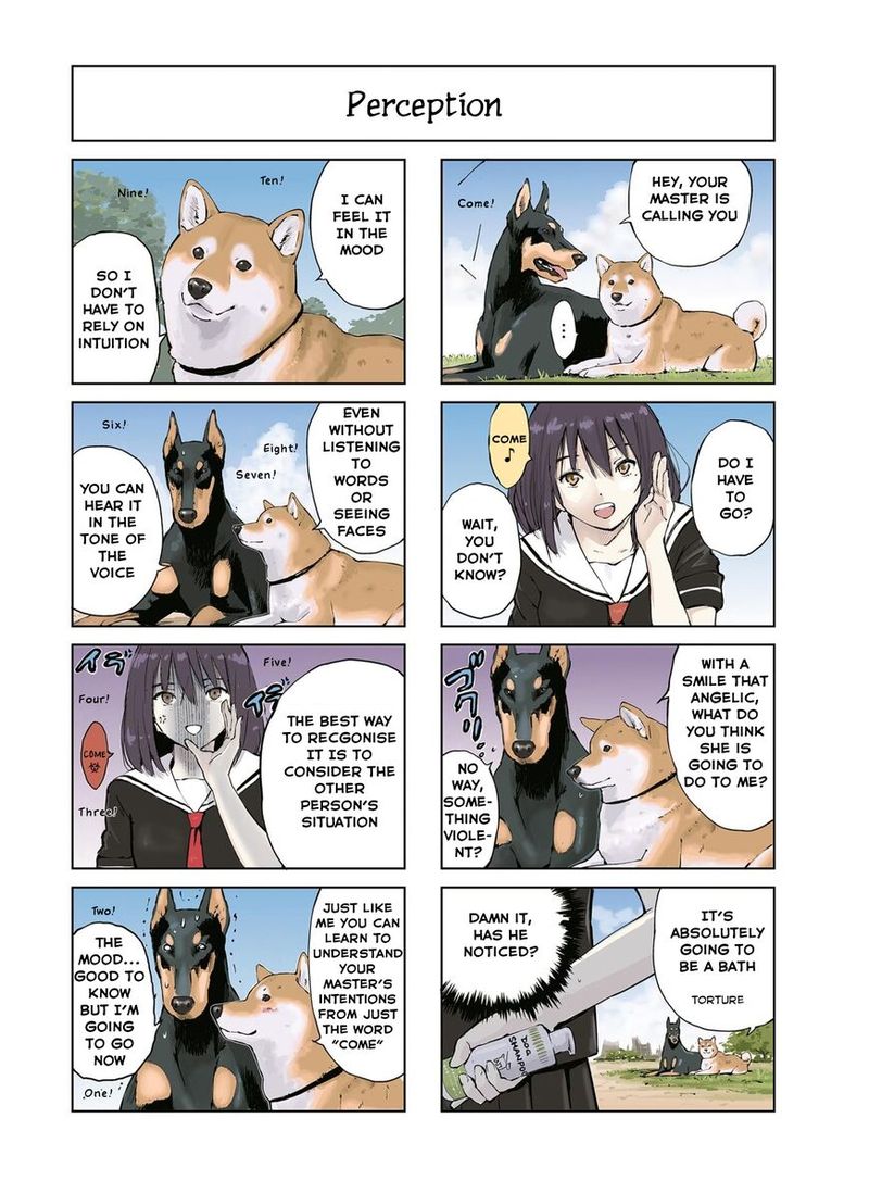 Sekai No Owari Ni Shiba Inu To 12 4