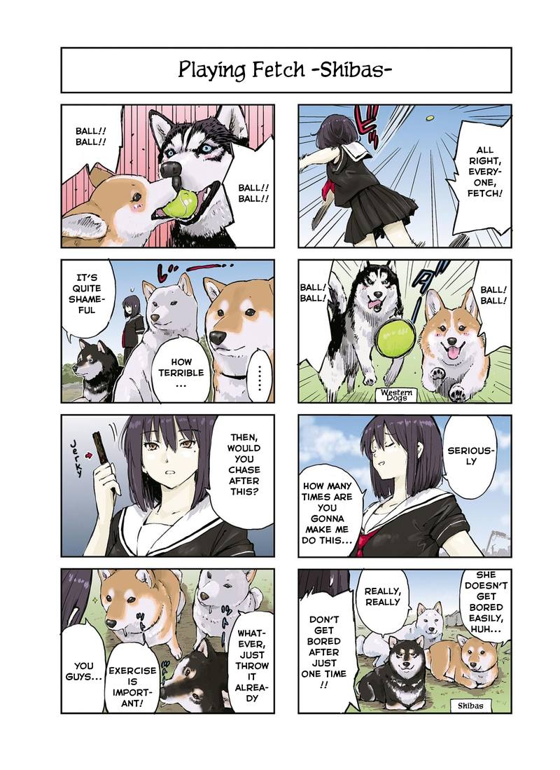 Sekai No Owari Ni Shiba Inu To 15 5