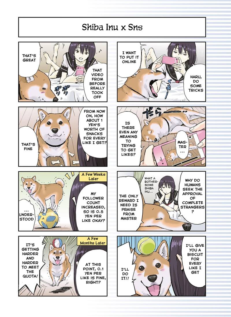 Sekai No Owari Ni Shiba Inu To 15 8
