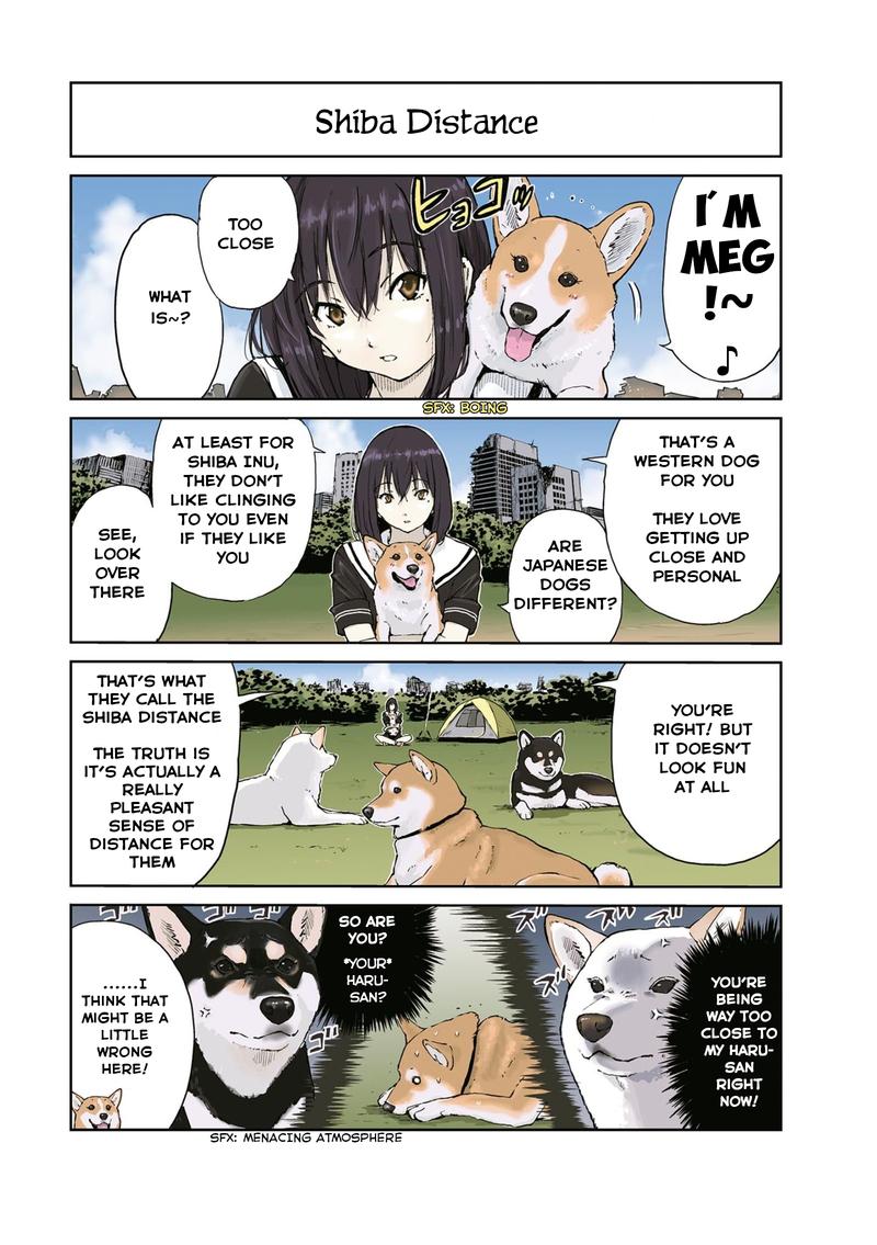 Sekai No Owari Ni Shiba Inu To 19 4