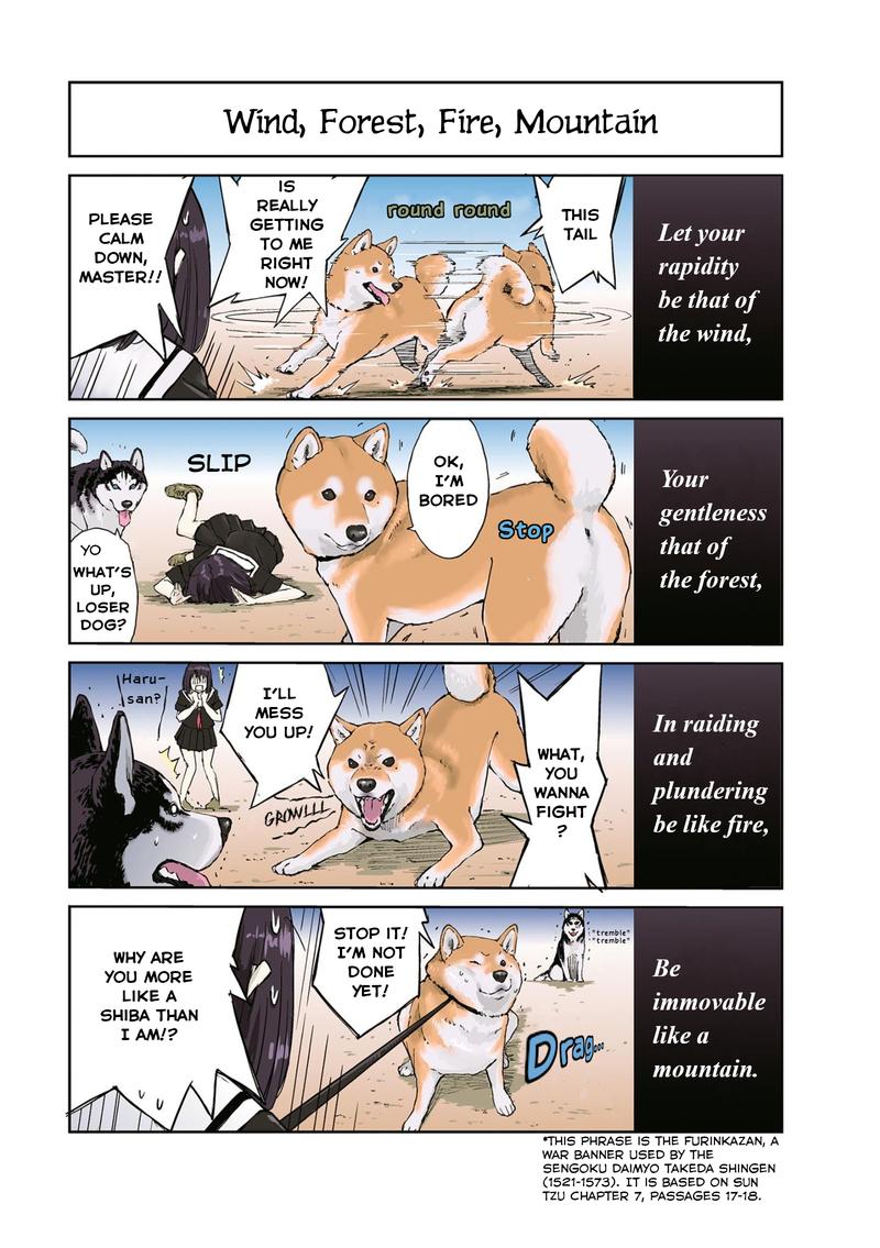 Sekai No Owari Ni Shiba Inu To 19 6