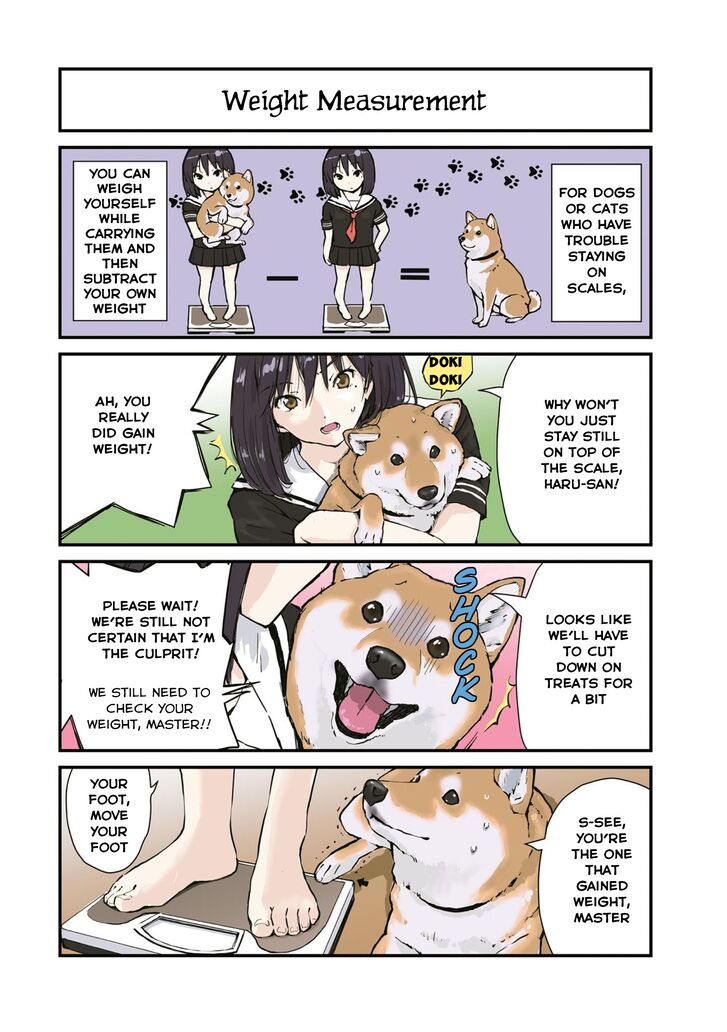 Sekai No Owari Ni Shiba Inu To 24 2