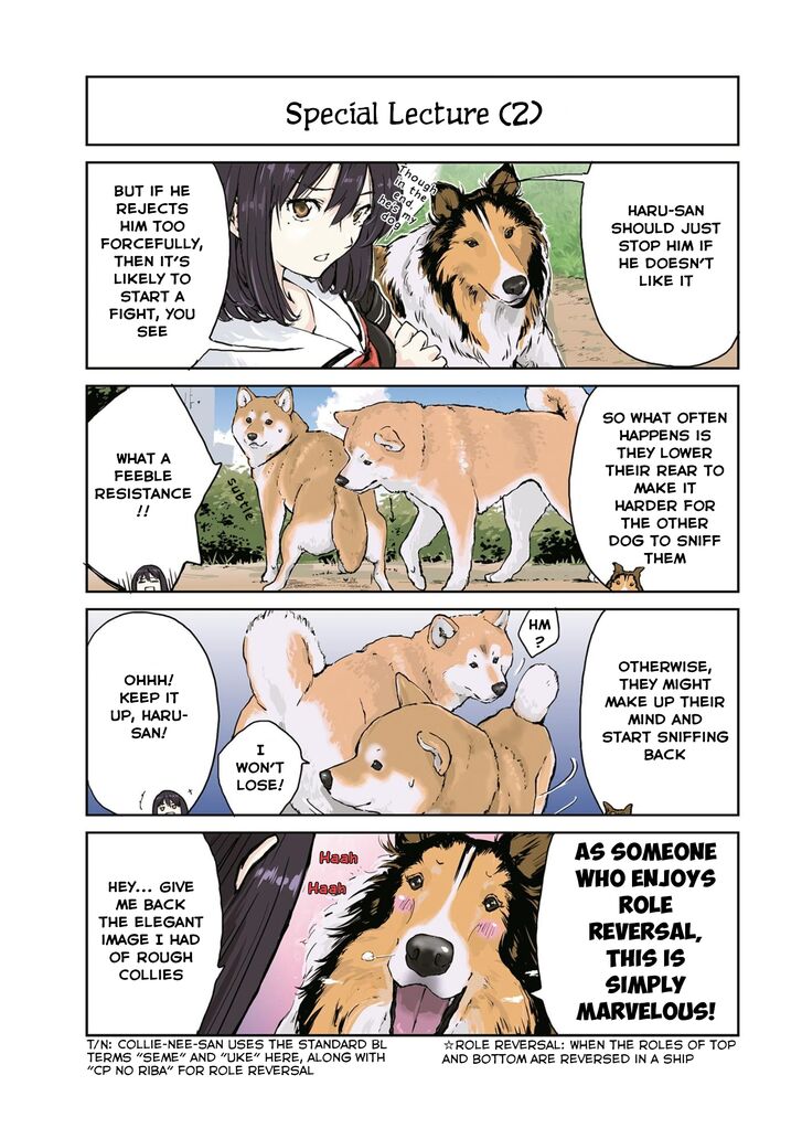Sekai No Owari Ni Shiba Inu To 24 5