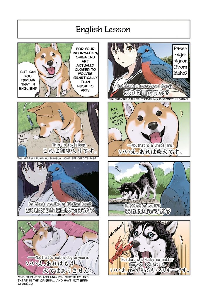 Sekai No Owari Ni Shiba Inu To 24 6