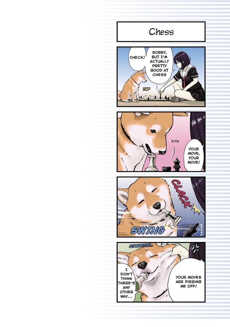 Sekai No Owari Ni Shiba Inu To 25 10