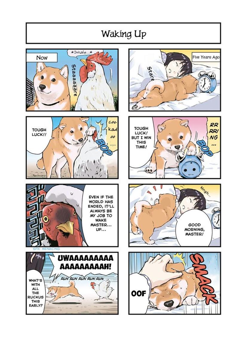 Sekai No Owari Ni Shiba Inu To 25 3