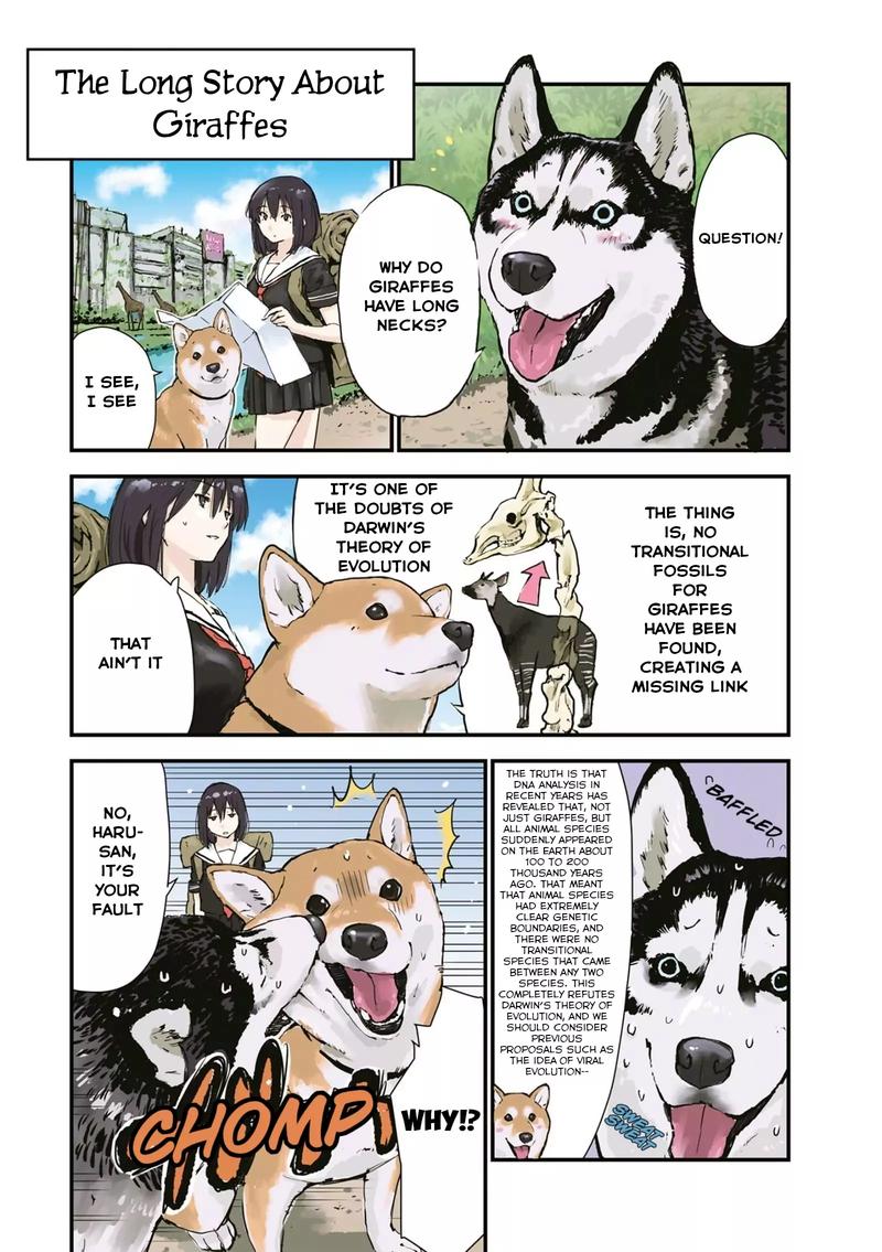 Sekai No Owari Ni Shiba Inu To 26 4