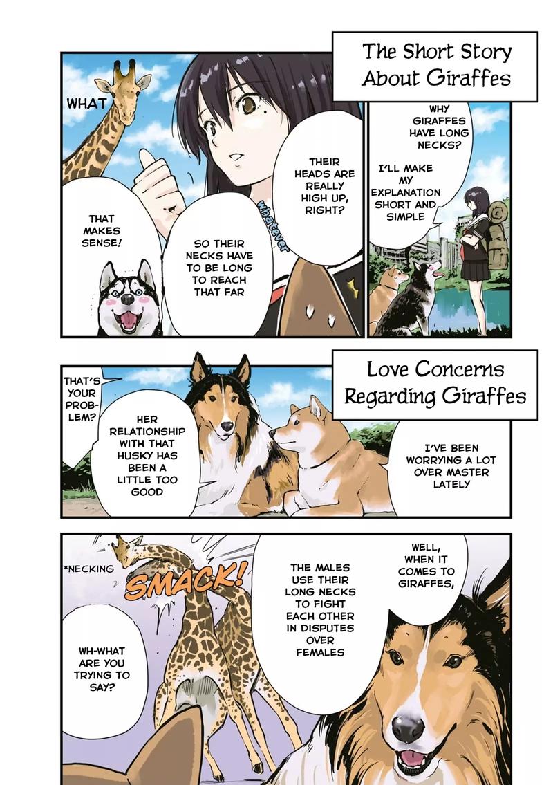 Sekai No Owari Ni Shiba Inu To 26 5